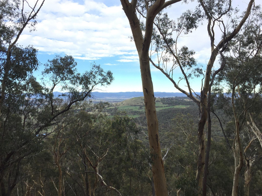 Canberra Nature Park景点图片