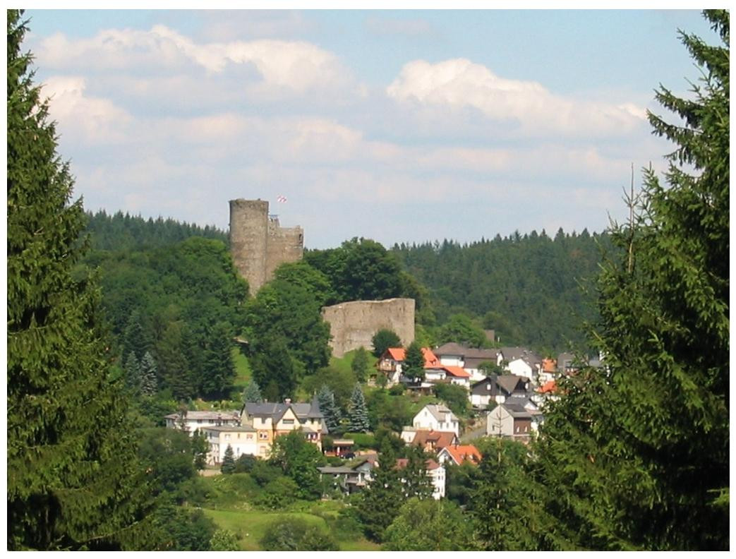 Burgruine Reifenberg景点图片