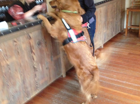 Zaca Mesa Winery-洛斯奥利沃斯必去景点