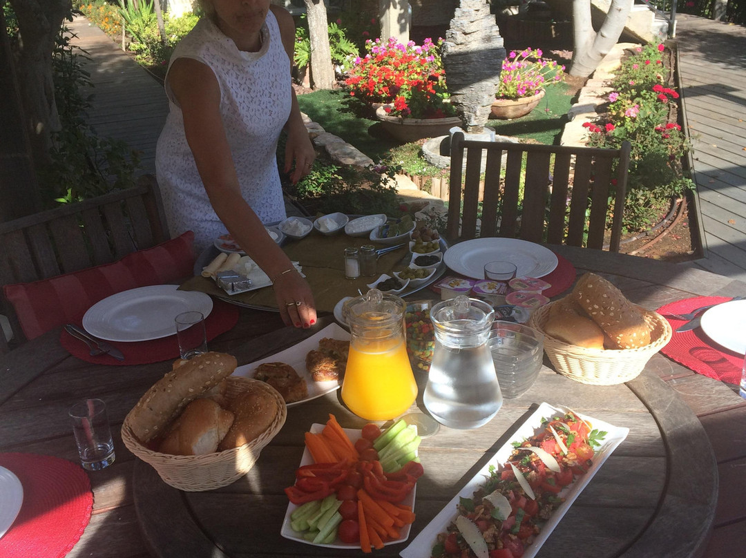 Jerusalem Of Gold Zimer主图