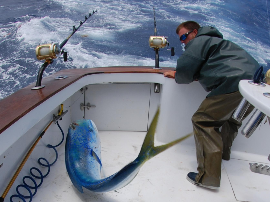 Swordfish Sportfishing景点图片