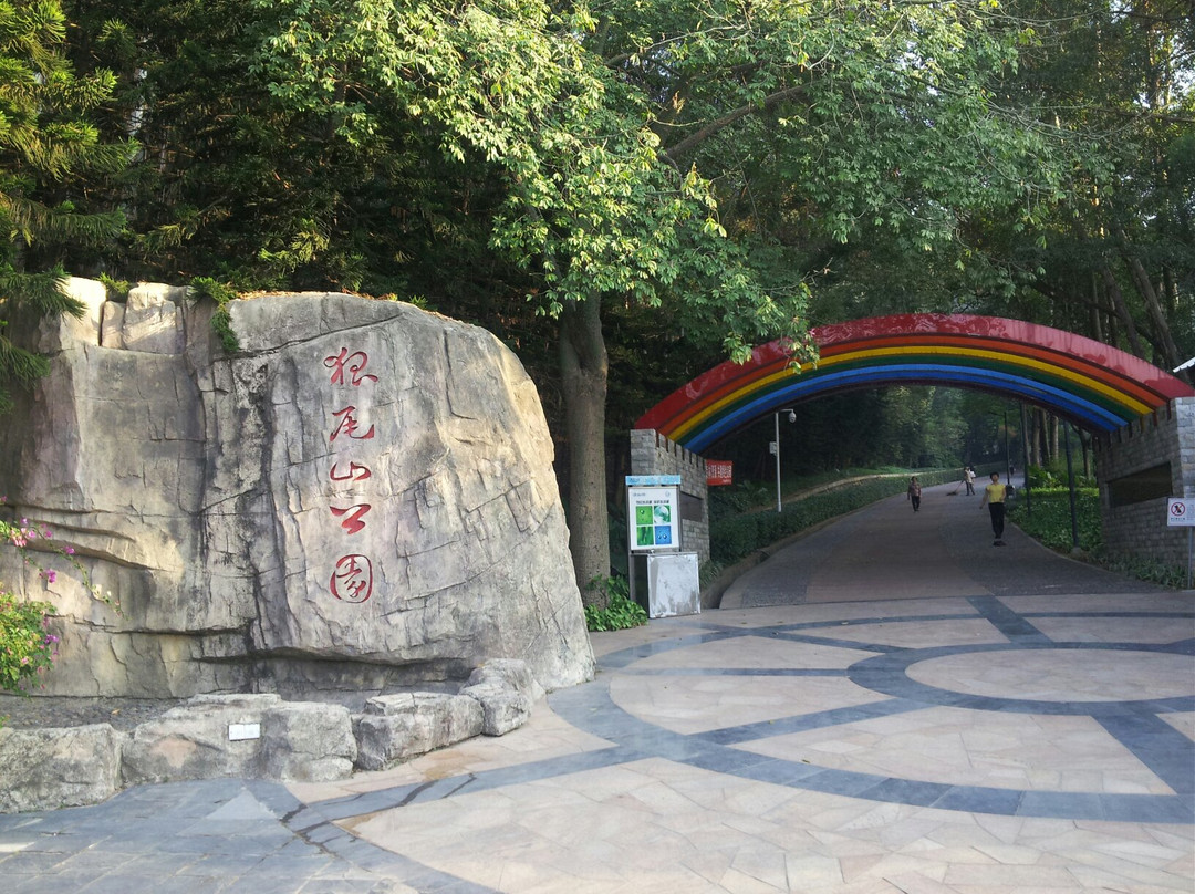 狐尾山气象主题公园-厦门市必去景点