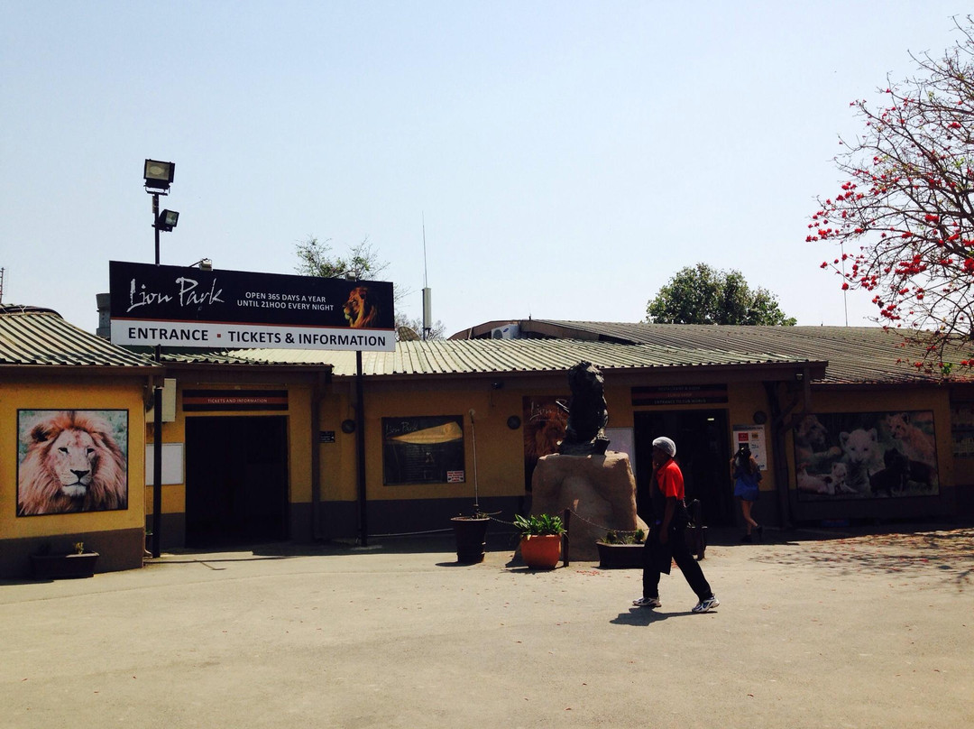 Lion and Safari Park-Broederstroom必去景点