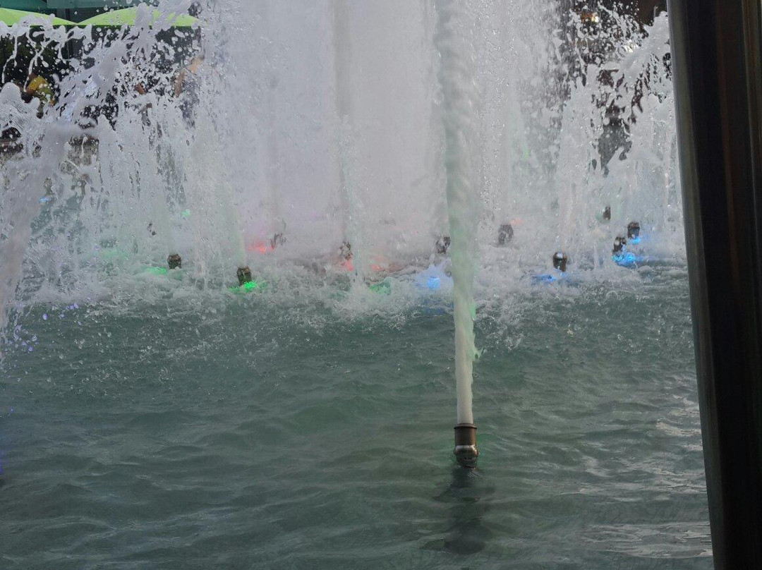 The Singing Fountains-索契必去景点