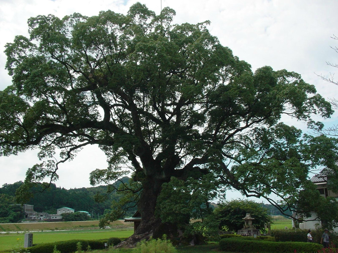 Kawagono Okusu-武雄市必去景点