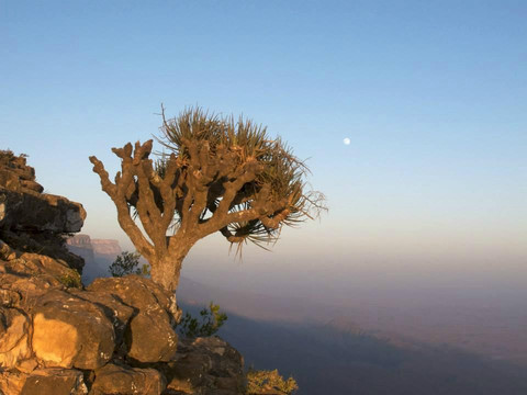 Sub Aqua Dive Center-塞拉莱必去景点