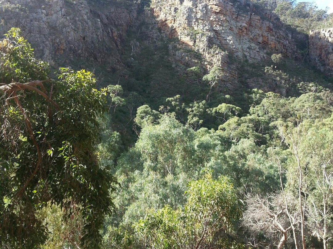 Morialta Conservation Park景点图片