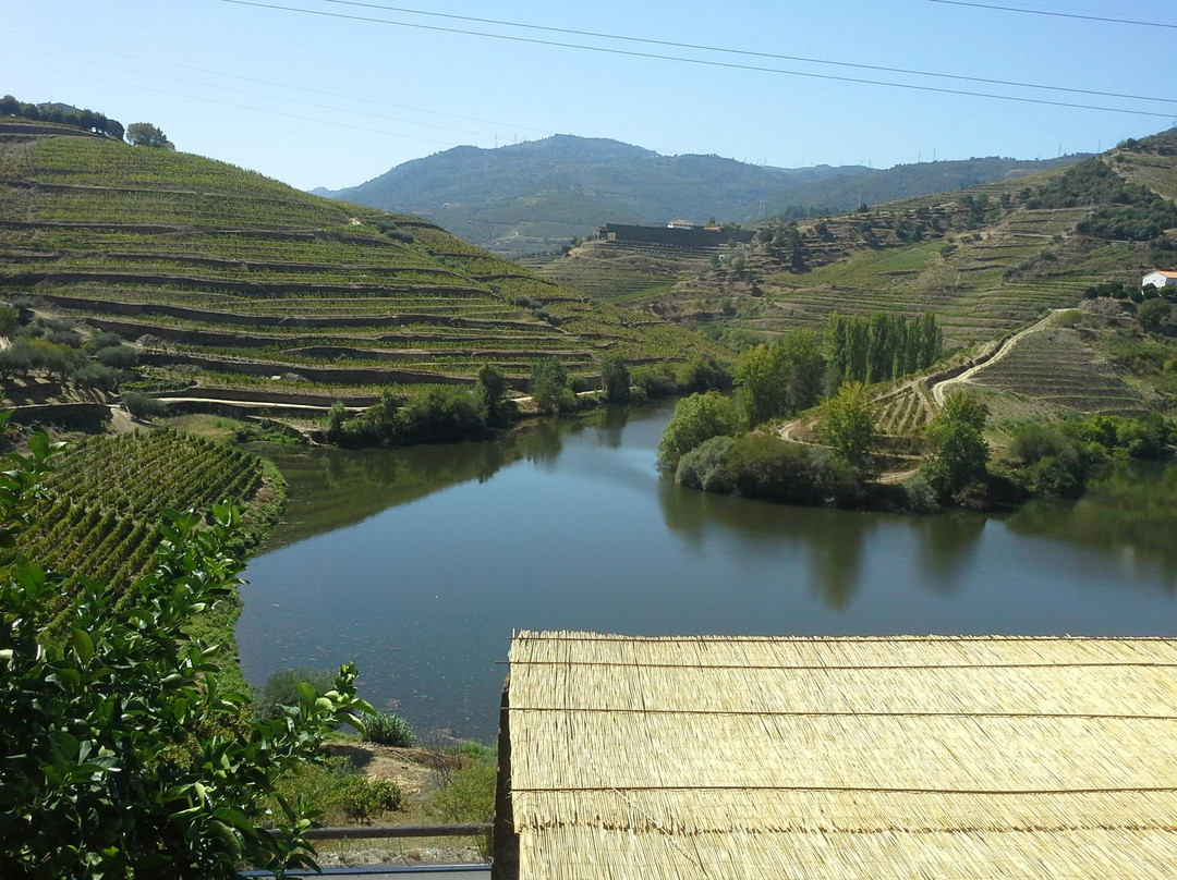 Oporto & Douro Moments景点图片