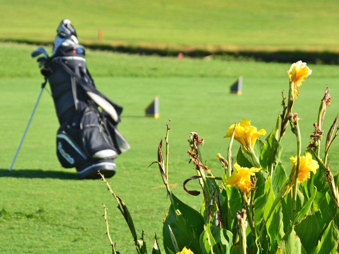 Wild Dunes Resort Golf-棕榈岛必去景点