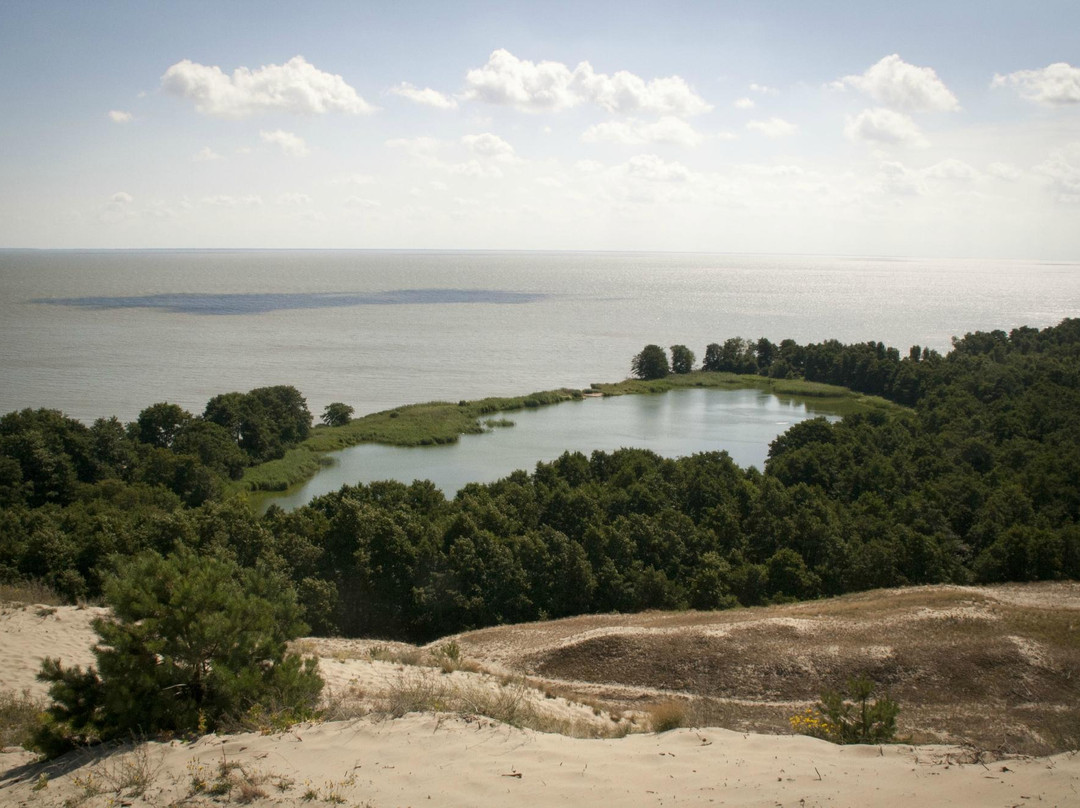 Lake Lebed景点图片