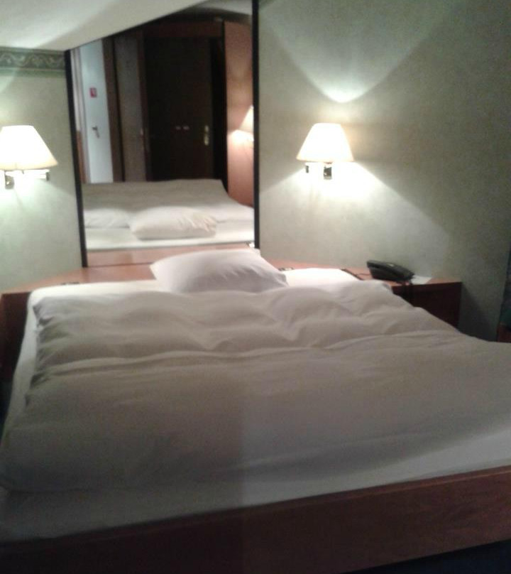 Hotel des Alpes主图
