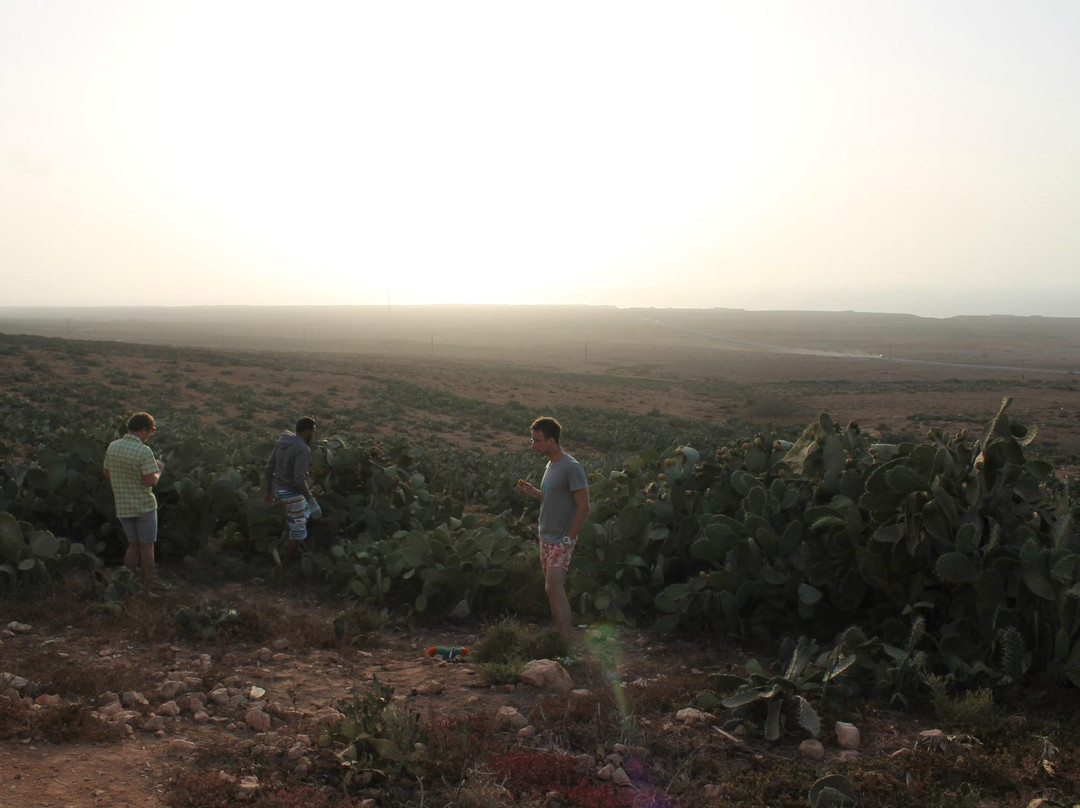 Sahara Surf-Taghazout必去景点