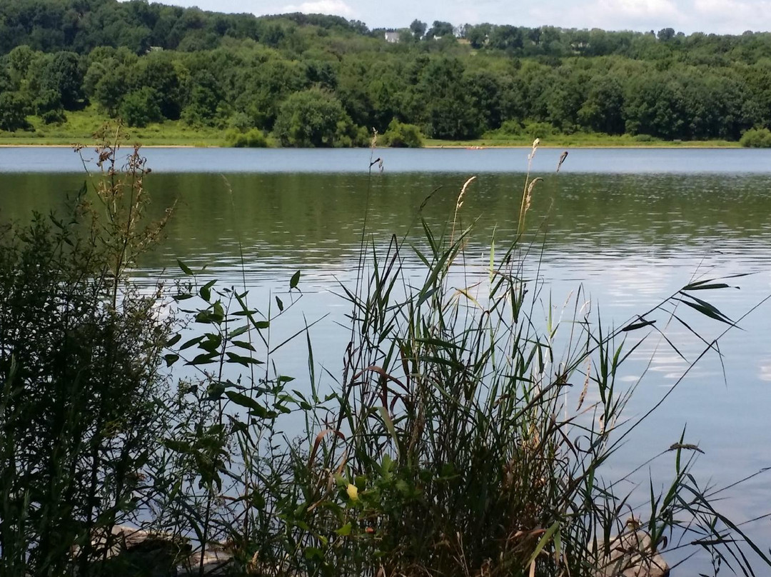 Peace Valley Park景点图片