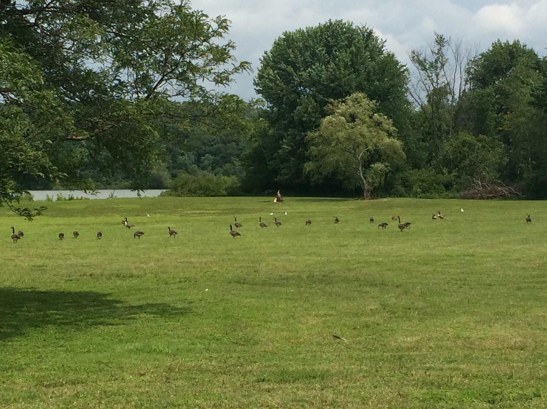 Woodcock Lake Park景点图片