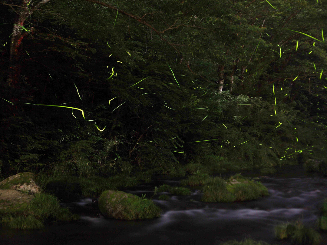 Tokuunin-秋留野市必去景点