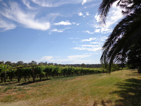 天鹅河历史路径