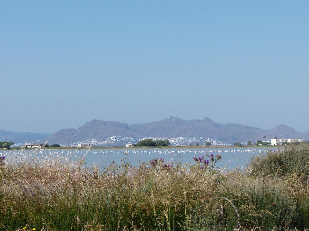 Alikes Salt Lakes Tigaki-Tigaki必去景点