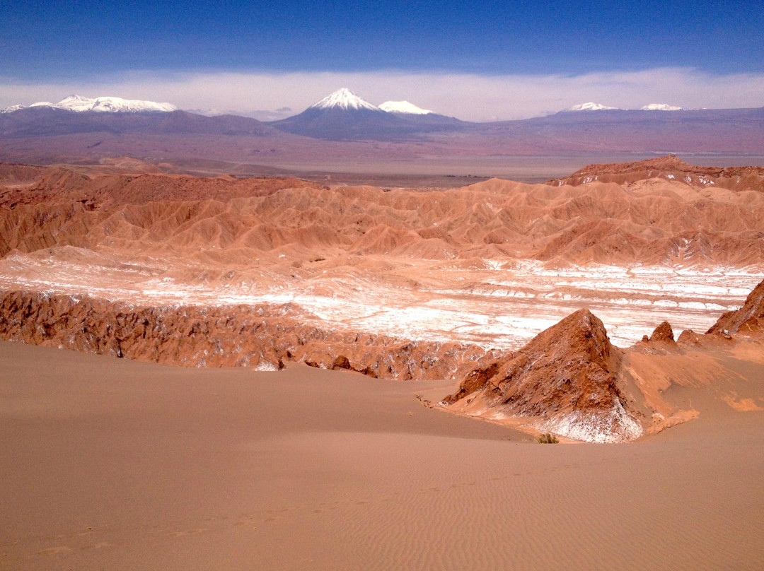 Atacama Loft & Expeditions - Tours景点图片