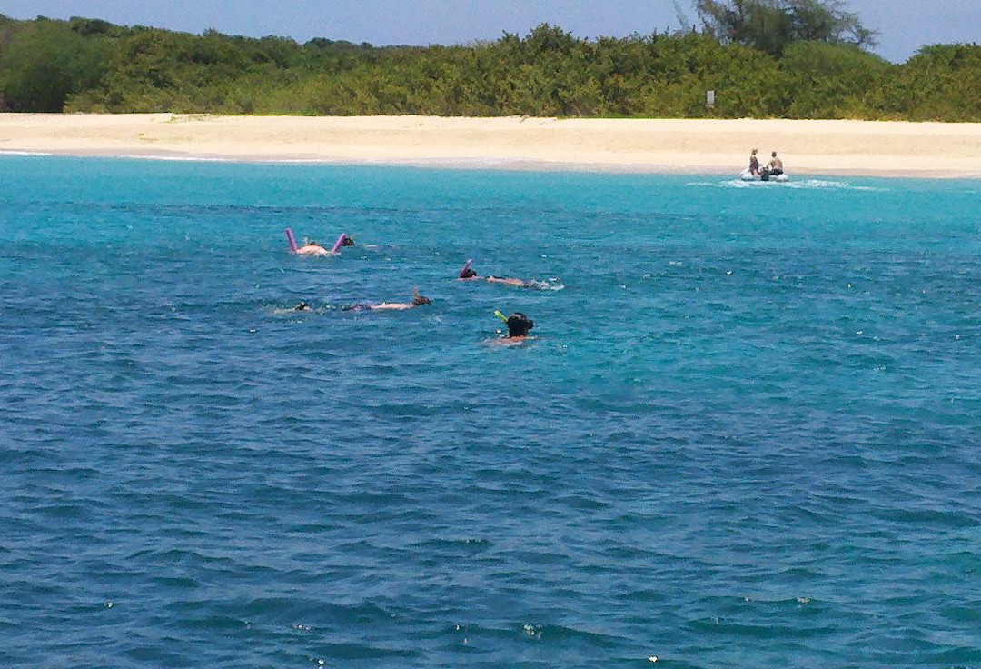 Coconut Reef Power Boat Tours & Charters-辛普森湾必去景点