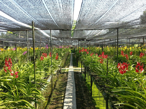 大林江水上市场-曼谷必去景点