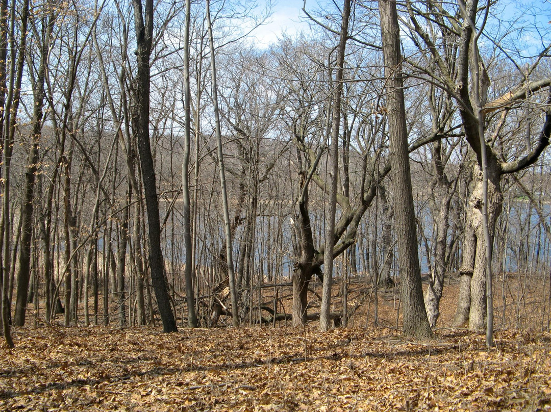Fish Lake Regional Park-Maple Grove必去景点