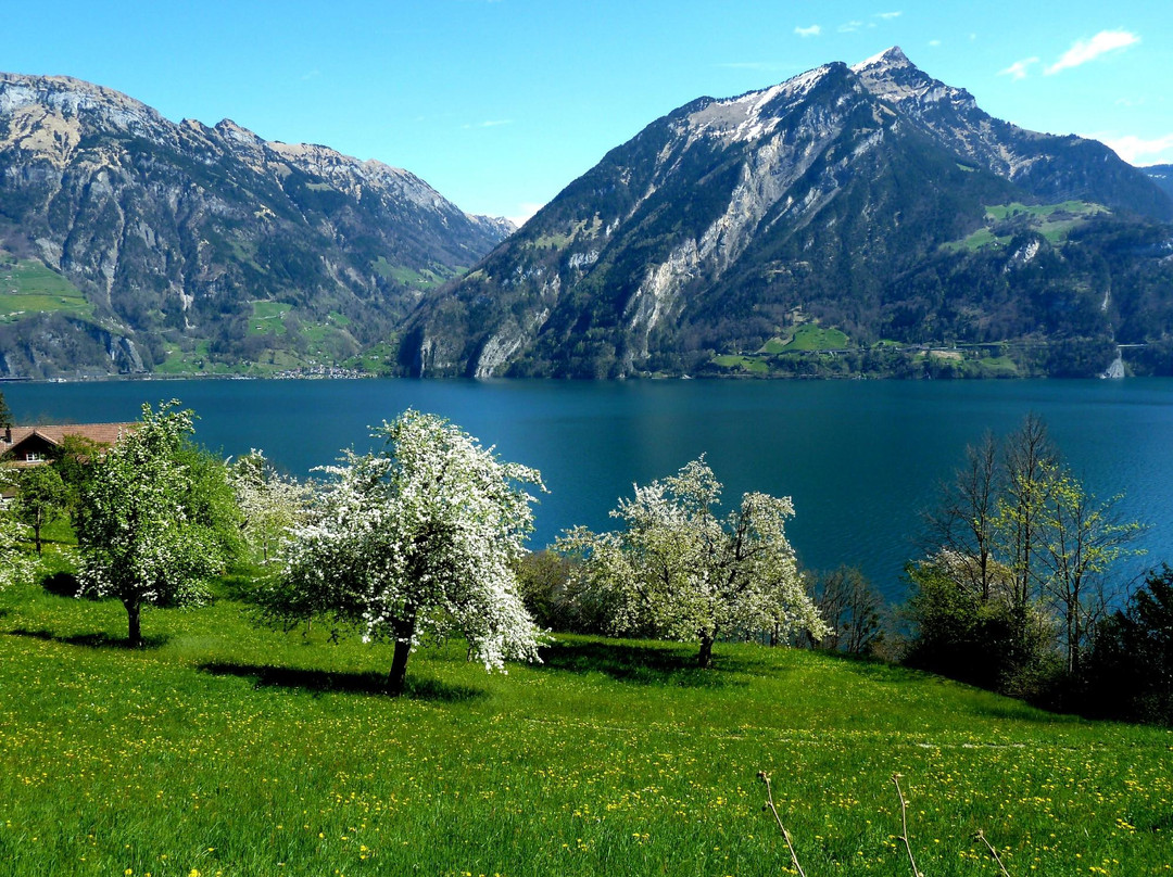 The Swiss Path景点图片
