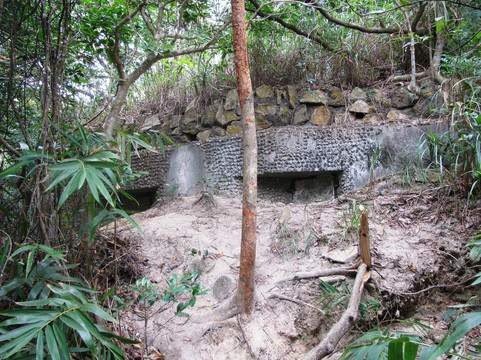 Walk Hong Kong-香港必去景点