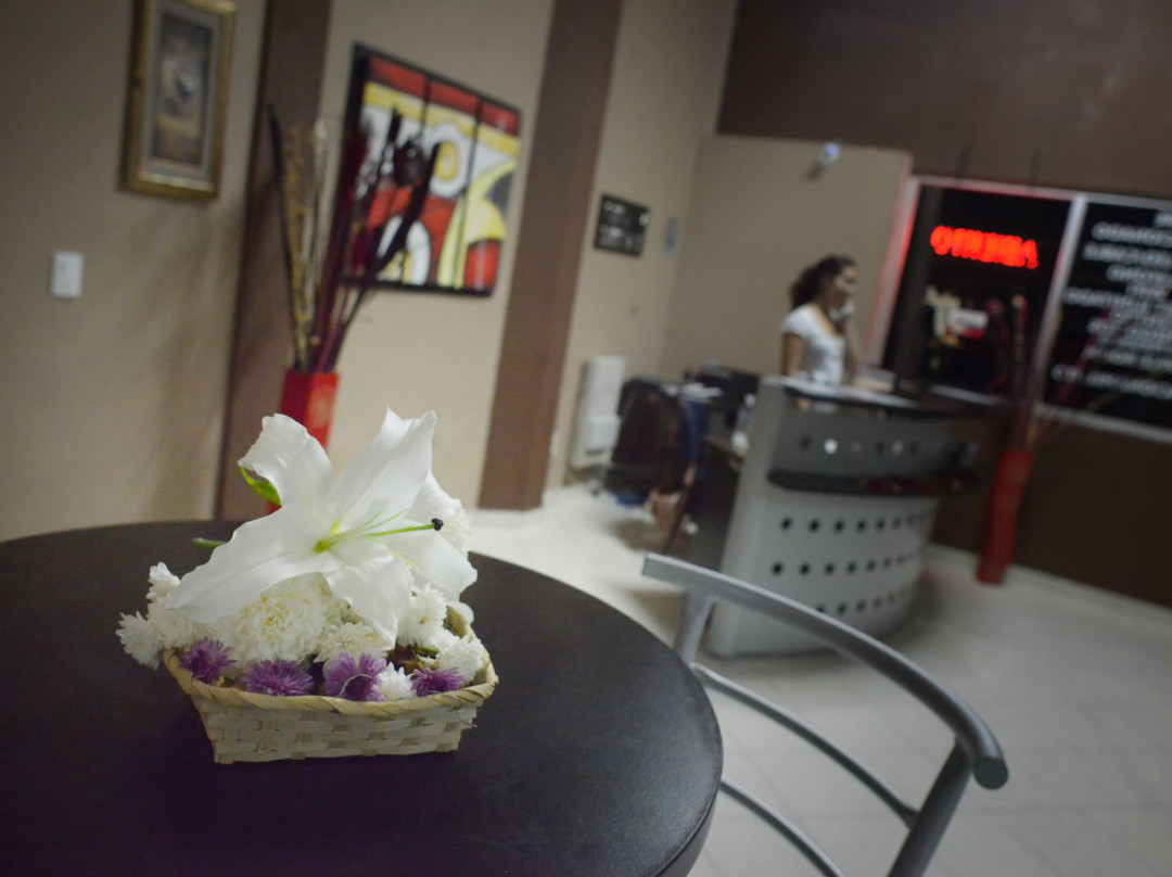 Hotel Plaza Providencia主图