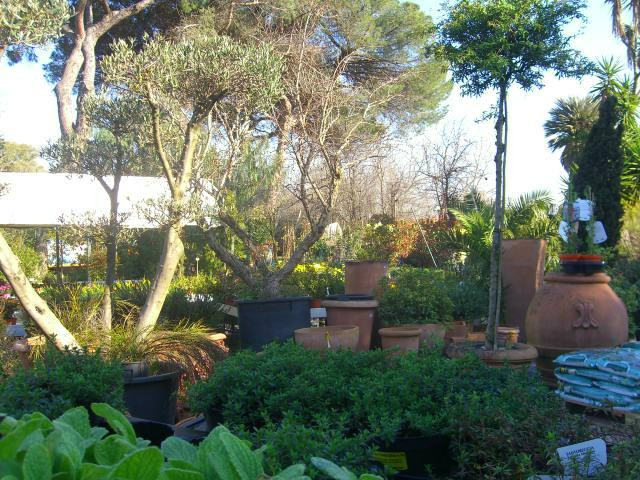 Vivaio Armeni Giardini-罗马必去景点