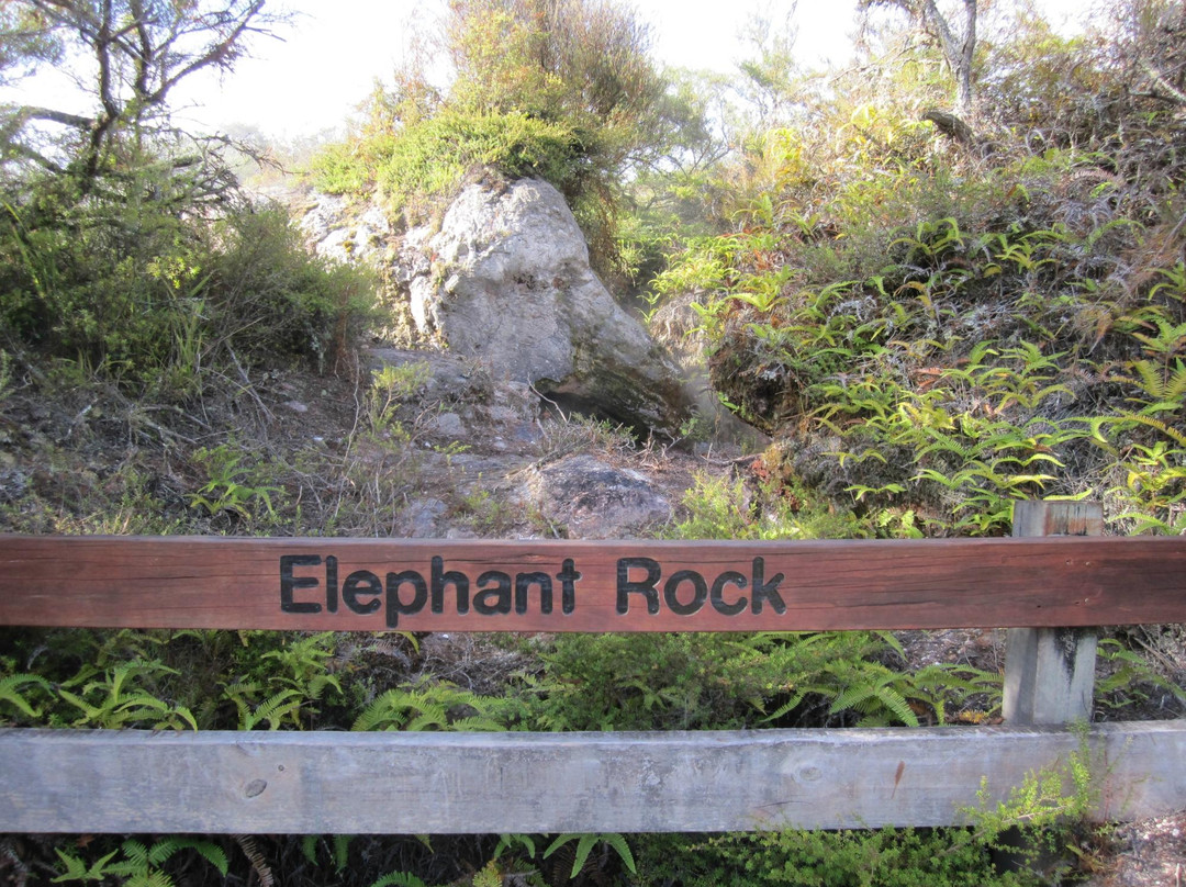 Orakei Korako Cave & Thermal Park-陶波区必去景点