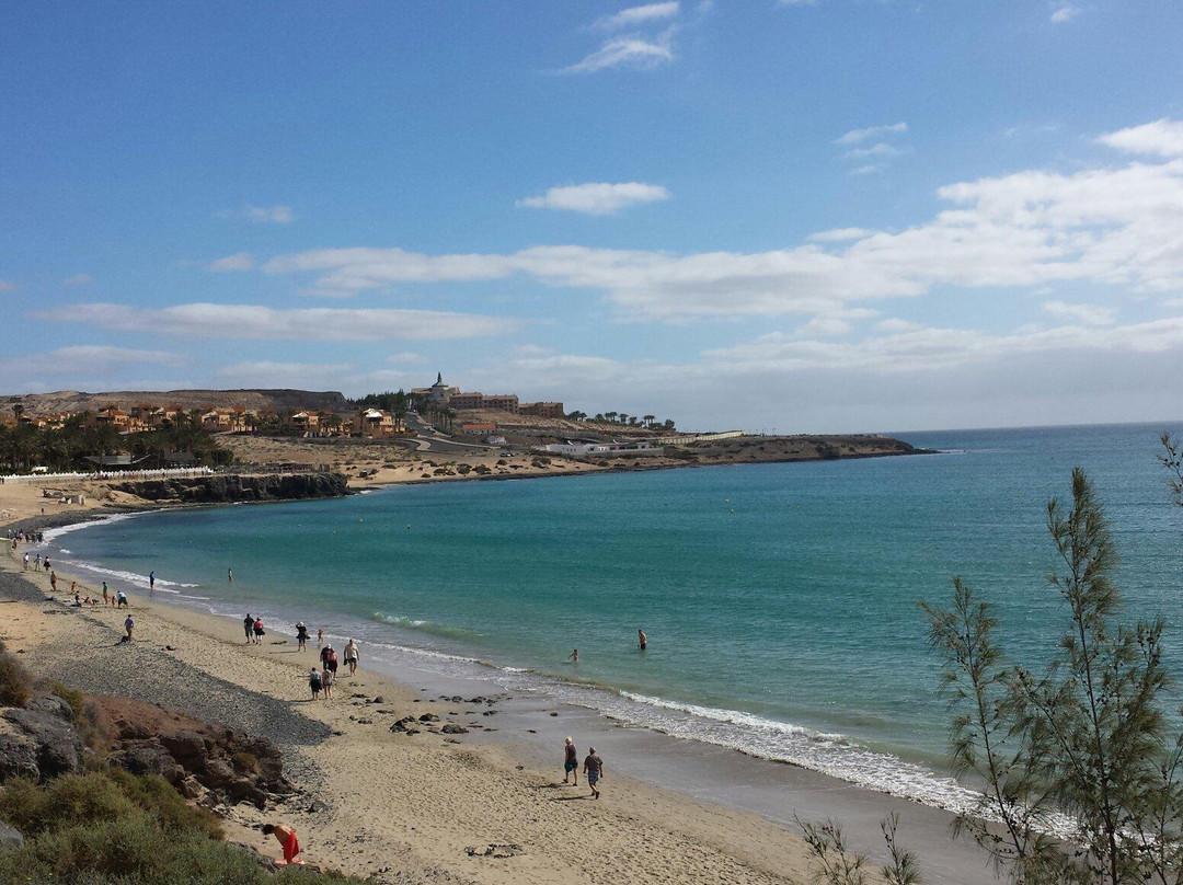 Playa de Sotavento景点图片