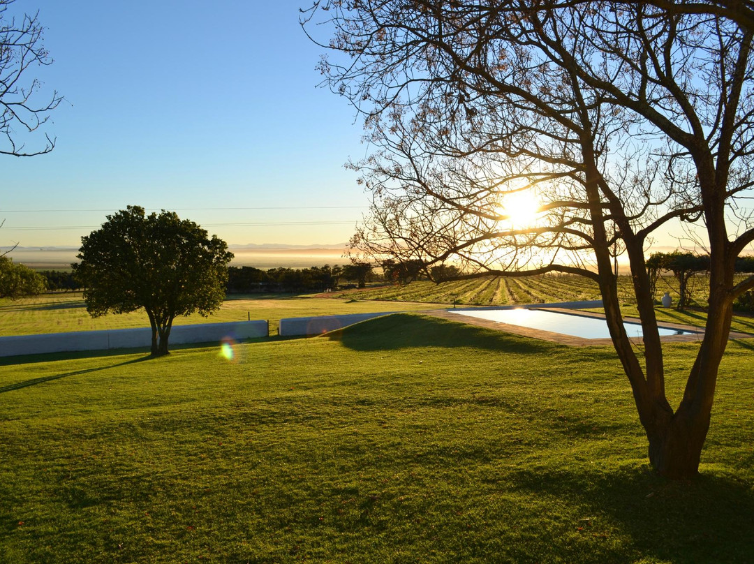 Grotto Bay旅游景点-Cloof Wine Estate