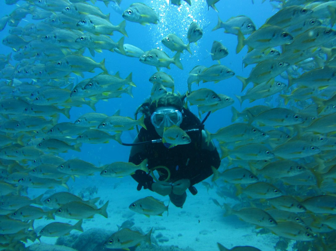 Tenerife Scuba-特纳里夫必去景点