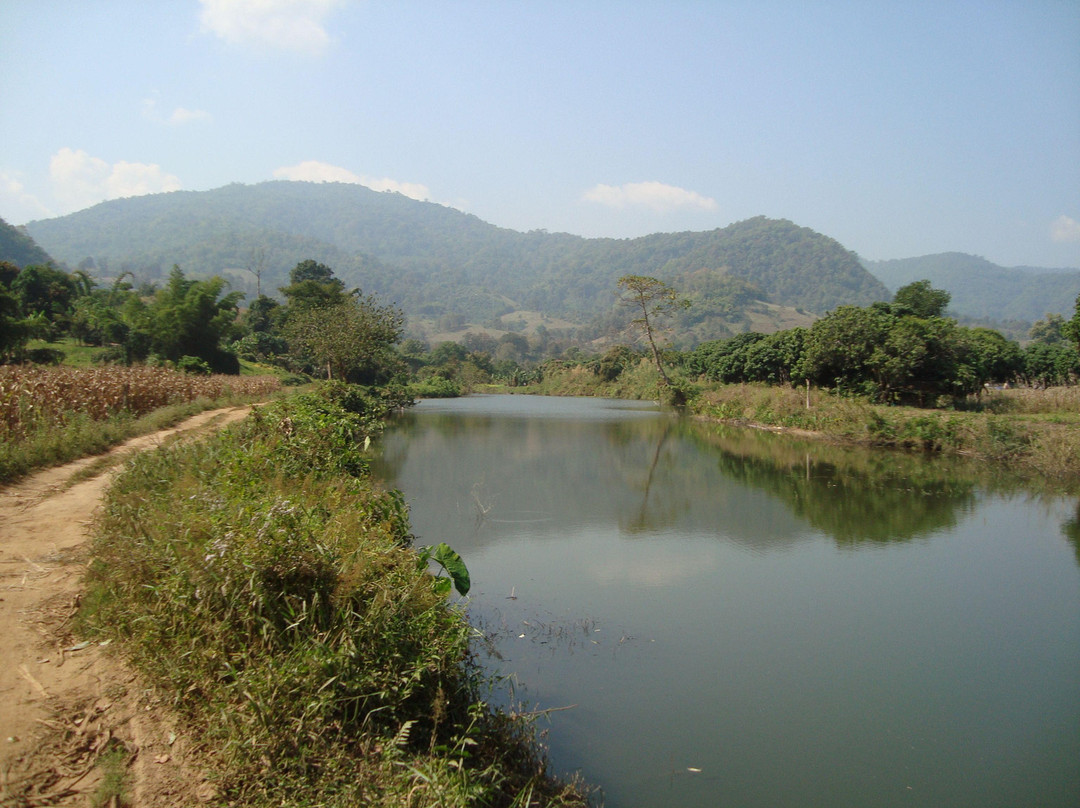 大象自然保护公园-清迈必去景点