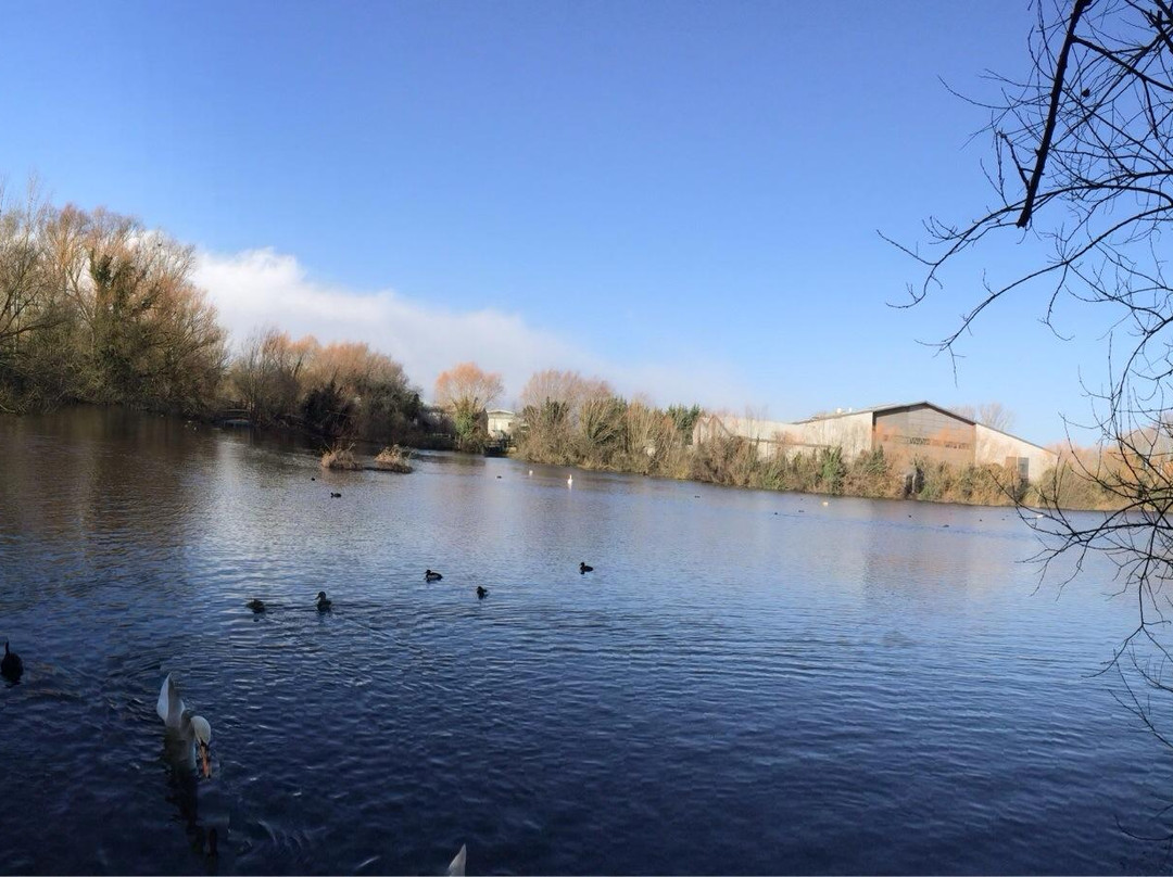 Milton Country Park景点图片