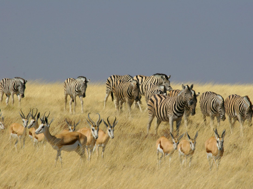 Namibia Tours & Safaris-斯瓦科普蒙德必去景点