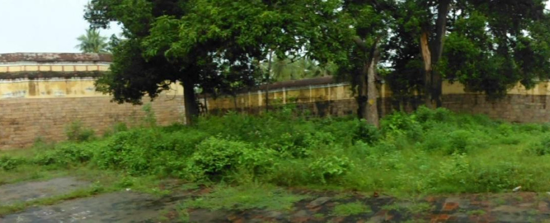 Thiruvalasuzhi Pillaiyar Kovil Shri Vellai Pillaiyar Kovil景点图片