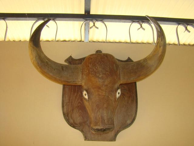 Chava Kolara Resort主图