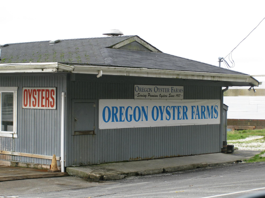 Oregon Oyster Farms-纽波特必去景点
