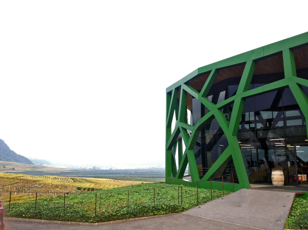 Cantina Tramin景点图片