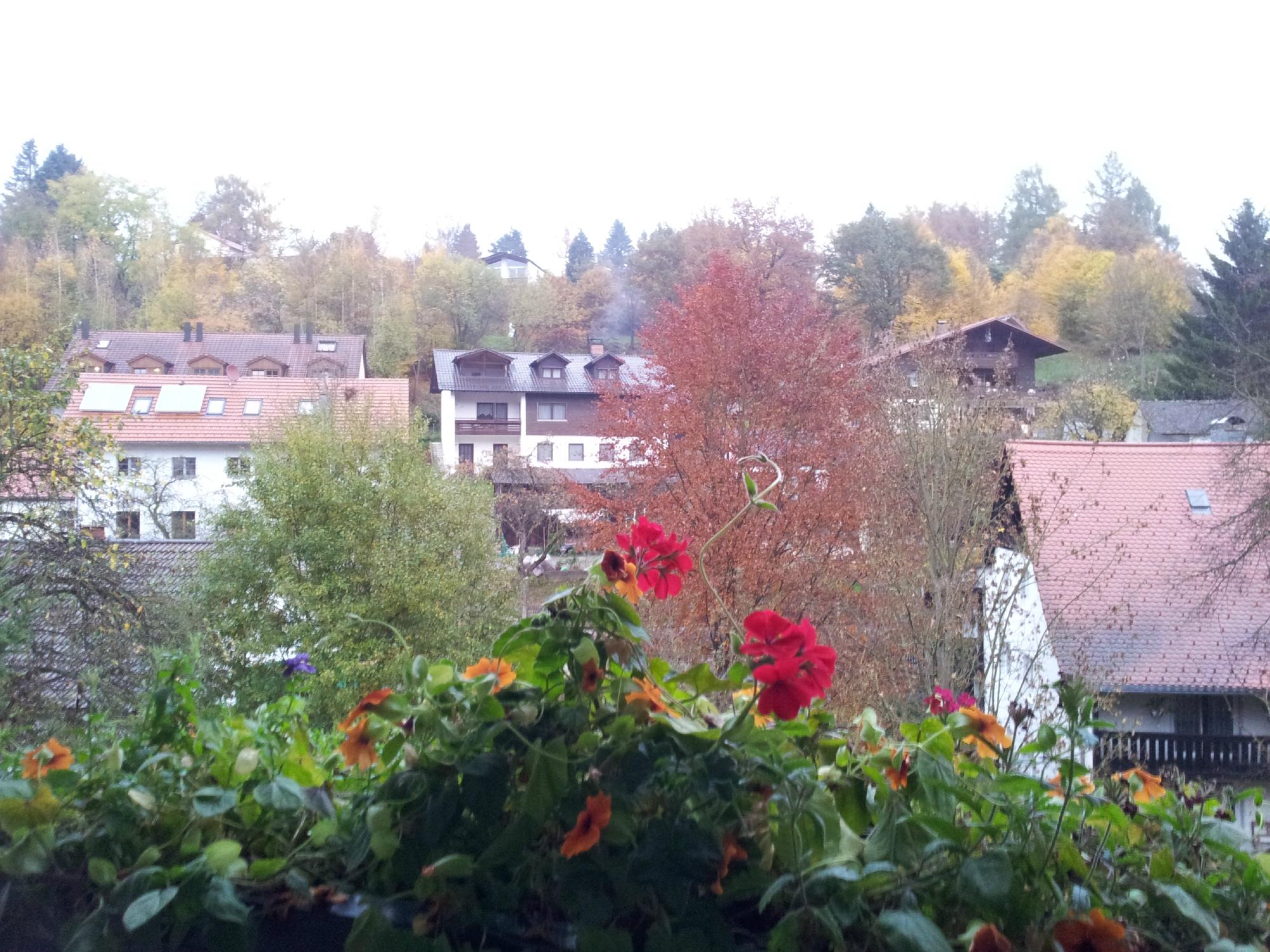 Pension Vilsmeier-酒店景观