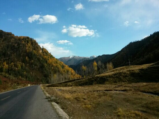 互助北山国家森林地质公园景点图片