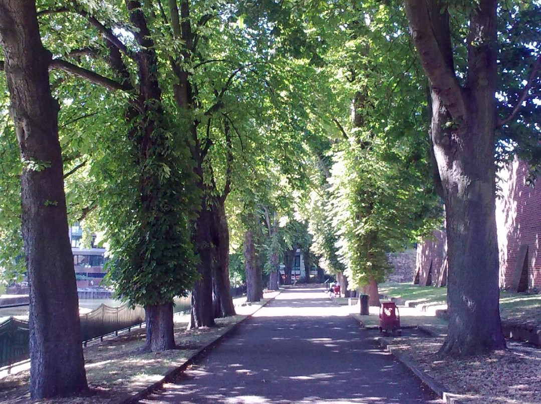 Chestnut Walk-雷丁必去景点