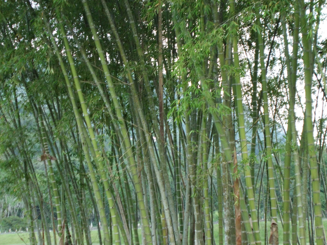 Club Payande-La Vega必去景点