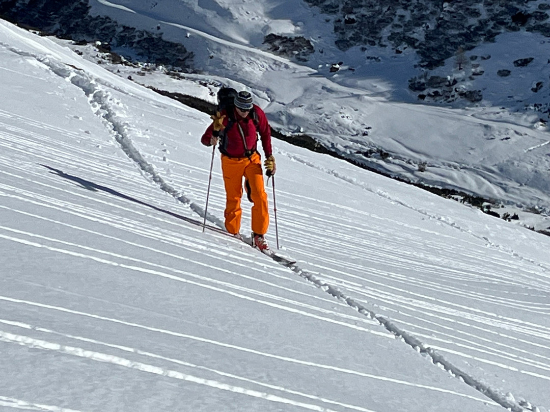 Silvretta Guides景点图片