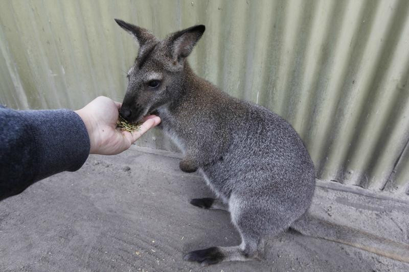 Melbourne Australia Tours-墨尔本必去景点