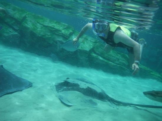 探索湾-奥兰多必去景点