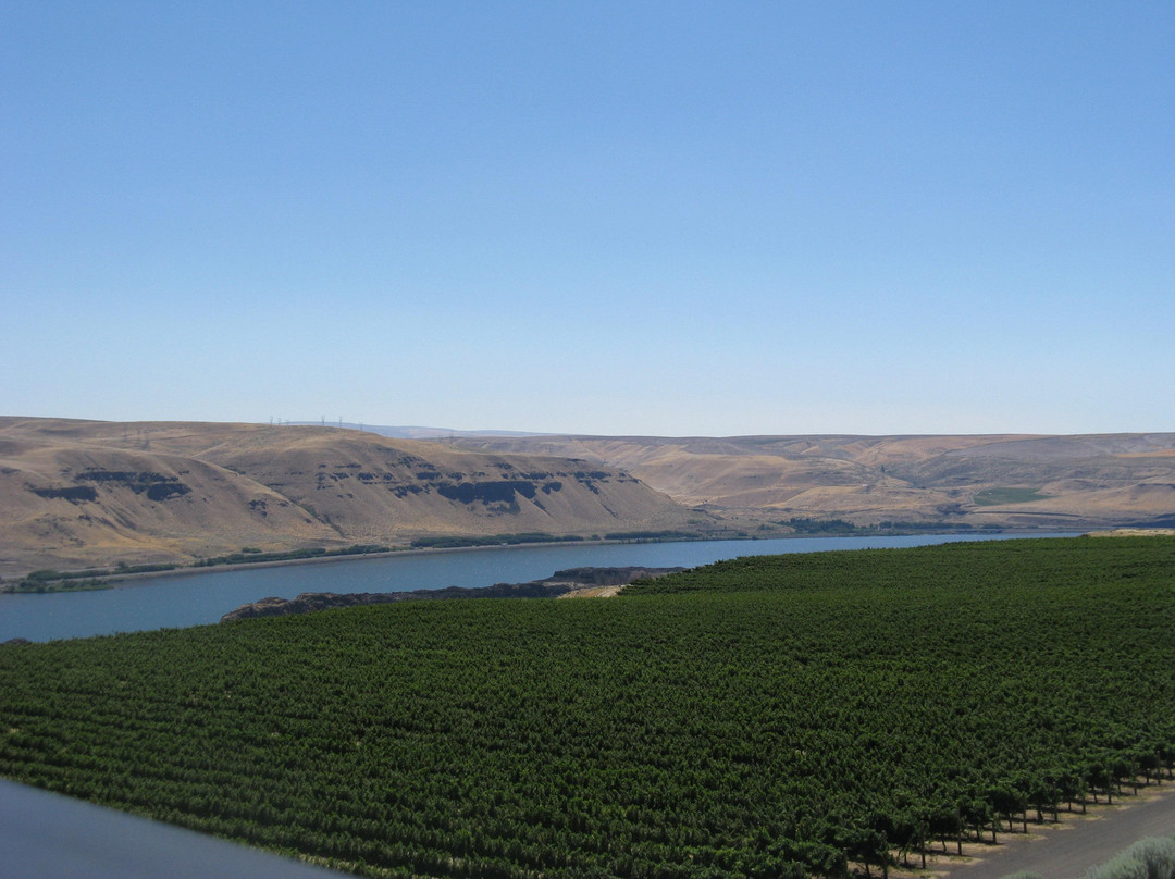 Maryhill Winery-Goldendale必去景点