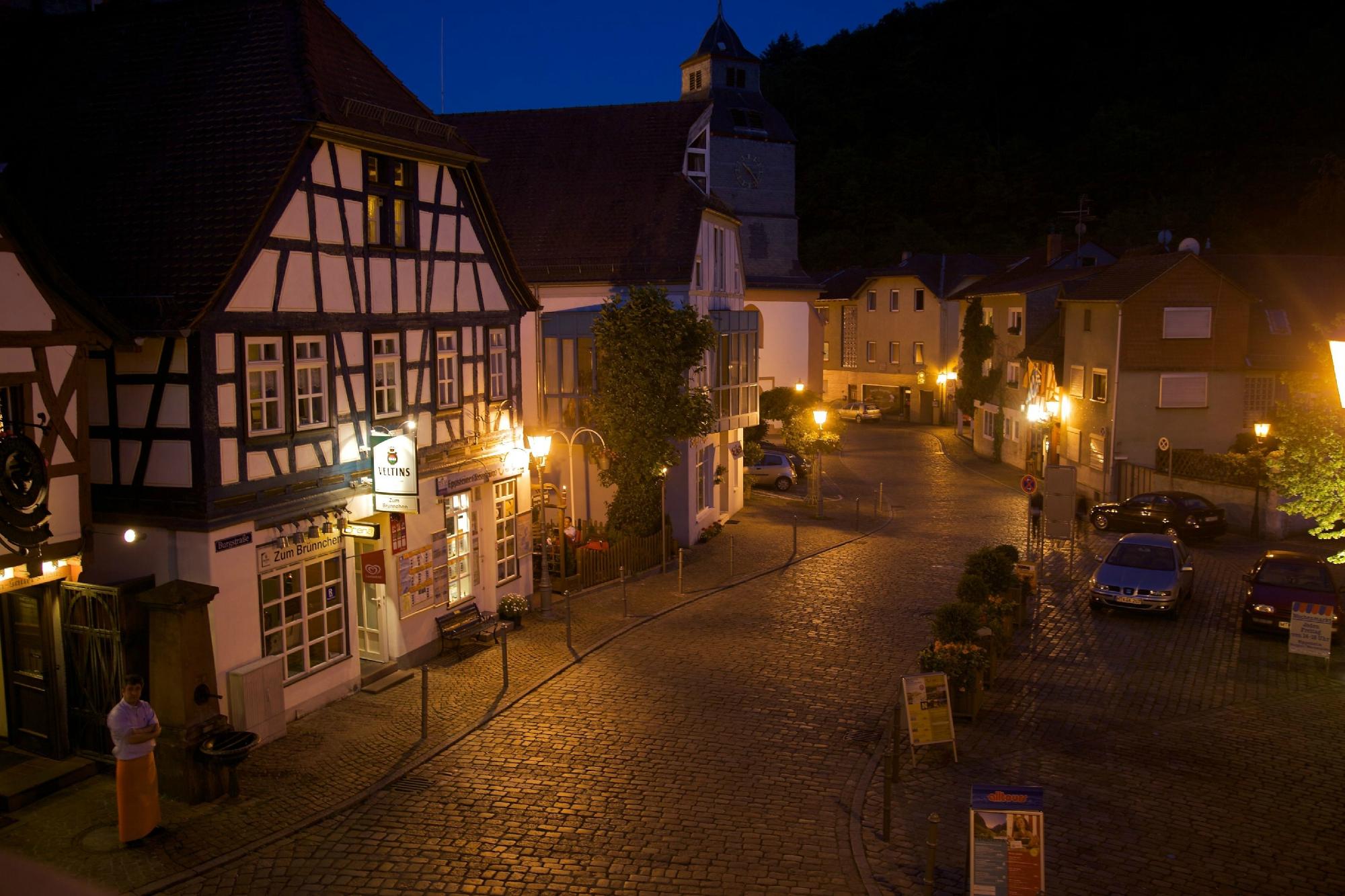 Hotel Zum Taunus-酒店景观