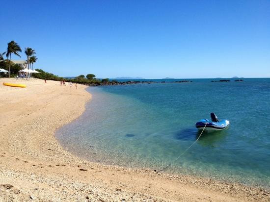 Reefstar Cruises-艾尔利滩必去景点